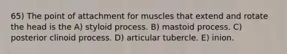 65) The point of attachment for muscles that extend and rotate the head is the A) styloid process. B) mastoid process. C) posterior clinoid process. D) articular tubercle. E) inion.