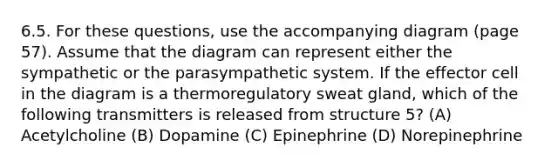 6.5. For these questions, use the accompanying diagram (page 57). Assume that the diagram can represent either the sympathetic or the parasympathetic system. If the effector cell in the diagram is a thermoregulatory sweat gland, which of the following transmitters is released from structure 5? (A) Acetylcholine (B) Dopamine (C) Epinephrine (D) Norepinephrine