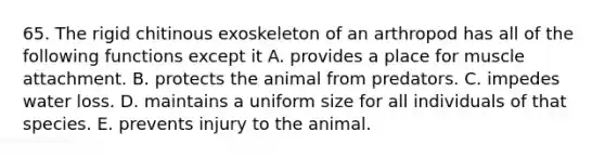 65. The rigid chitinous exoskeleton of an arthropod has all of the following functions except it A. provides a place for muscle attachment. B. protects the animal from predators. C. impedes water loss. D. maintains a uniform size for all individuals of that species. E. prevents injury to the animal.