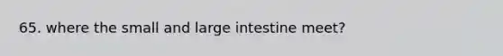 65. where the small and large intestine meet?