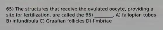 65) The structures that receive the ovulated oocyte, providing a site for fertilization, are called the 65) ________. A) fallopian tubes B) infundibula C) Graafian follicles D) fimbriae