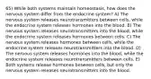 65) While both systems maintain homeostasis, how does the nervous system differ from the endocrine system? A) The nervous system releases neurotransmitters between cells, while the endocrine system releases hormones into the blood. B) The nervous system releases neurotransmitters into the blood, while the endocrine system releases hormones between cells. C) The nervous system releases hormones between cells, while the endocrine system releases neurotransmitters into the blood. D) The nervous system releases hormones into the blood, while the endocrine system releases neurotransmitters between cells. E) Both systems release hormones between cells, but only the nervous system releases neurotransmitters into the blood.