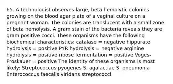 65. A technologist observes large, beta hemolytic colonies growing on <a href='https://www.questionai.com/knowledge/k7oXMfj7lk-the-blood' class='anchor-knowledge'>the blood</a> agar plate of a vaginal culture on a pregnant woman. The colonies are translucent with a small zone of beta hemolysis. A <a href='https://www.questionai.com/knowledge/kRRIXBW3v0-gram-stain' class='anchor-knowledge'>gram stain</a> of the bacteria reveals they are gram positive cocci. These organisms have the following biochemical characteristics: catalase = negative hippurate hydrolysis = positive PYR hydrolysis = negative arginine hydrolysis = positive ribose fermentation = positive Voges-Proskauer = positive The identity of these organisms is most likely: Streptococcus pyogenes S. agalactiae S. pneumonia Enterococcus faecalis viridans streptococci