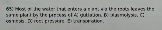 65) Most of the water that enters a plant via the roots leaves the same plant by the process of A) guttation. B) plasmolysis. C) osmosis. D) root pressure. E) transpiration.