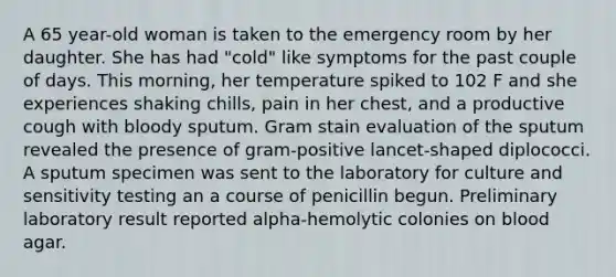 A 65 year-old woman is taken to the emergency room by her daughter. She has had "cold" like symptoms for the past couple of days. This morning, her temperature spiked to 102 F and she experiences shaking chills, pain in her chest, and a productive cough with bloody sputum. Gram stain evaluation of the sputum revealed the presence of gram-positive lancet-shaped diplococci. A sputum specimen was sent to the laboratory for culture and sensitivity testing an a course of penicillin begun. Preliminary laboratory result reported alpha-hemolytic colonies on blood agar.