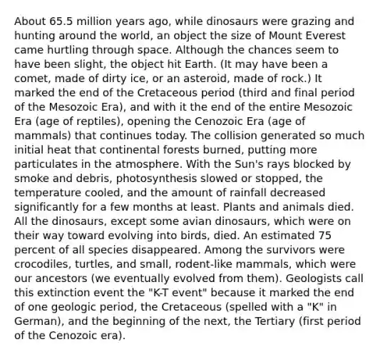 About 65.5 million years ago, while dinosaurs were grazing and hunting around the world, an object the size of Mount Everest came hurtling through space. Although the chances seem to have been slight, the object hit Earth. (It may have been a comet, made of dirty ice, or an asteroid, made of rock.) It marked the end of the Cretaceous period (third and final period of the Mesozoic Era), and with it the end of the entire Mesozoic Era (age of reptiles), opening the Cenozoic Era (age of mammals) that continues today. The collision generated so much initial heat that continental forests burned, putting more particulates in the atmosphere. With the Sun's rays blocked by smoke and debris, photosynthesis slowed or stopped, the temperature cooled, and the amount of rainfall decreased significantly for a few months at least. Plants and animals died. All the dinosaurs, except some avian dinosaurs, which were on their way toward evolving into birds, died. An estimated 75 percent of all species disappeared. Among the survivors were crocodiles, turtles, and small, rodent-like mammals, which were our ancestors (we eventually evolved from them). ​Geologists call this extinction event the "K-T event" because it marked the end of one geologic period, the Cretaceous (spelled with a "K" in German), and the beginning of the next, the Tertiary (first period of the Cenozoic era).