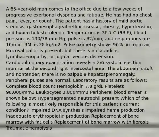 A 65-year-old man comes to the office due to a few weeks of progressive exertional dyspnea and fatigue. He has had no chest pain, fever, or cough. The patient has a history of mild aortic stenosis, gastroesophageal reflux disease, obesity, hypertension, and hypercholesterolemia. Temperature is 36.7 C (98 F), blood pressure is 130/78 mm Hg, pulse is 82/min, and respirations are 16/min. BMI is 28 kg/m2. Pulse oximetry shows 96% on room air. Mucosal pallor is present, but there is no jaundice, lymphadenopathy, or jugular venous distension. Cardiopulmonary examination reveals a 2/6 systolic ejection murmur at the second right intercostal area. The abdomen is soft and nontender; there is no palpable hepatosplenomegaly. Peripheral pulses are normal. Laboratory results are as follows: Complete blood count Hemoglobin 7.8 g/dL Platelets 98,000/mm3 Leukocytes 3,800/mm3 Peripheral blood smear is shown below: Hypersegmented neutrophil present Which of the following is most likely responsible for this patient's current condition? Impaired DNA synthesis Impaired heme production Inadequate erythropoietin production Replacement of bone marrow with fat cells Replacement of bone marrow with fibrosis Traumatic hemolysis