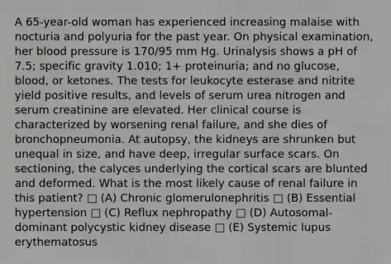 A 65-year-old woman has experienced increasing malaise with nocturia and polyuria for the past year. On physical examination, her blood pressure is 170/95 mm Hg. Urinalysis shows a pH of 7.5; specific gravity 1.010; 1+ proteinuria; and no glucose, blood, or ketones. The tests for leukocyte esterase and nitrite yield positive results, and levels of serum urea nitrogen and serum creatinine are elevated. Her clinical course is characterized by worsening renal failure, and she dies of bronchopneumonia. At autopsy, the kidneys are shrunken but unequal in size, and have deep, irregular surface scars. On sectioning, the calyces underlying the cortical scars are blunted and deformed. What is the most likely cause of renal failure in this patient? □ (A) Chronic glomerulonephritis □ (B) Essential hypertension □ (C) Reflux nephropathy □ (D) Autosomal-dominant polycystic kidney disease □ (E) Systemic lupus erythematosus