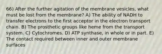 66) After the further agitation of the membrane vesicles, what must be lost from the membrane? A) The ability of NADH to transfer electrons to the first acceptor in <a href='https://www.questionai.com/knowledge/k57oGBr0HP-the-electron-transport-chain' class='anchor-knowledge'>the electron transport chain</a>. B) The prosthetic groups like heme from the transport system. C) Cytochromes. D) ATP synthase, in whole or in part. E) The contact required between inner and outer membrane surfaces