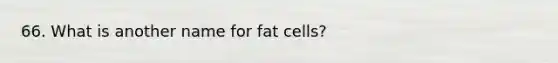 66. What is another name for fat cells?