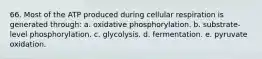 66. Most of the ATP produced during cellular respiration is generated through: a. oxidative phosphorylation. b. substrate-level phosphorylation. c. glycolysis. d. fermentation. e. pyruvate oxidation.