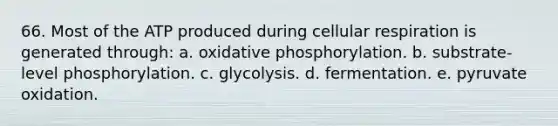 66. Most of the ATP produced during cellular respiration is generated through: a. <a href='https://www.questionai.com/knowledge/kFazUb9IwO-oxidative-phosphorylation' class='anchor-knowledge'>oxidative phosphorylation</a>. b. substrate-level phosphorylation. c. glycolysis. d. fermentation. e. pyruvate oxidation.