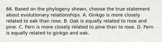 66. Based on the phylogeny shown, choose the true statement about evolutionary relationships. A. Ginkgo is more closely related to oak than rose. B. Oak is equally related to rose and pine. C. Fern is more closely related to pine than to rose. D. Fern is equally related to ginkgo and oak.