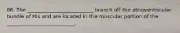 66. The __________________________ branch off the atrioventricular bundle of His and are located in the muscular portion of the ___________________________.