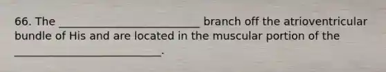 66. The __________________________ branch off the atrioventricular bundle of His and are located in the muscular portion of the ___________________________.