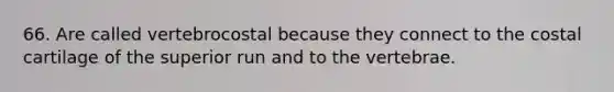 66. Are called vertebrocostal because they connect to the costal cartilage of the superior run and to the vertebrae.