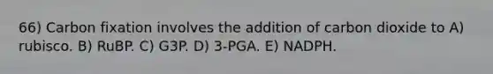 66) Carbon fixation involves the addition of carbon dioxide to A) rubisco. B) RuBP. C) G3P. D) 3-PGA. E) NADPH.