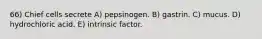 66) Chief cells secrete A) pepsinogen. B) gastrin. C) mucus. D) hydrochloric acid. E) intrinsic factor.