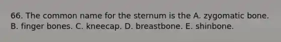 66. The common name for the sternum is the A. zygomatic bone. B. finger bones. C. kneecap. D. breastbone. E. shinbone.