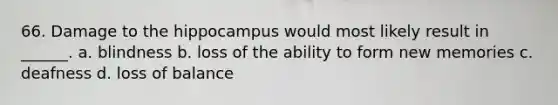 66. Damage to the hippocampus would most likely result in ______. a. blindness b. loss of the ability to form new memories c. deafness d. loss of balance