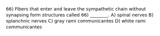 66) Fibers that enter and leave the sympathetic chain without synapsing form structures called 66) ________. A) spinal nerves B) splanchnic nerves C) gray rami communicantes D) white rami communicantes