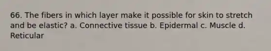 66. The fibers in which layer make it possible for skin to stretch and be elastic? a. <a href='https://www.questionai.com/knowledge/kYDr0DHyc8-connective-tissue' class='anchor-knowledge'>connective tissue</a> b. Epidermal c. Muscle d. Reticular