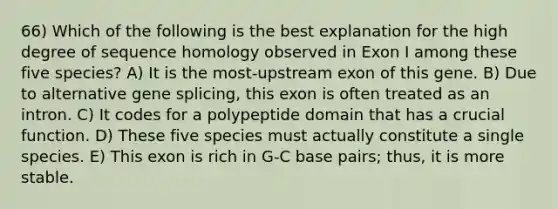 66) Which of the following is the best explanation for the high degree of sequence homology observed in Exon I among these five species? A) It is the most-upstream exon of this gene. B) Due to alternative gene splicing, this exon is often treated as an intron. C) It codes for a polypeptide domain that has a crucial function. D) These five species must actually constitute a single species. E) This exon is rich in G-C base pairs; thus, it is more stable.