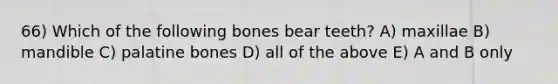 66) Which of the following bones bear teeth? A) maxillae B) mandible C) palatine bones D) all of the above E) A and B only