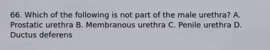 66. Which of the following is not part of the male urethra? A. Prostatic urethra B. Membranous urethra C. Penile urethra D. Ductus deferens
