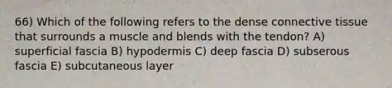 66) Which of the following refers to the dense connective tissue that surrounds a muscle and blends with the tendon? A) superficial fascia B) hypodermis C) deep fascia D) subserous fascia E) subcutaneous layer