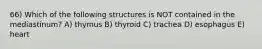 66) Which of the following structures is NOT contained in the mediastinum? A) thymus B) thyroid C) trachea D) esophagus E) heart