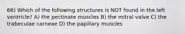 66) Which of the following structures is NOT found in the left ventricle? A) the pectinate muscles B) the mitral valve C) the trabeculae carneae D) the papillary muscles