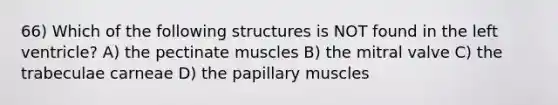 66) Which of the following structures is NOT found in the left ventricle? A) the pectinate muscles B) the mitral valve C) the trabeculae carneae D) the papillary muscles