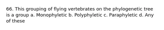 66. This grouping of flying vertebrates on the phylogenetic tree is a group a. Monophyletic b. Polyphyletic c. Paraphyletic d. Any of these