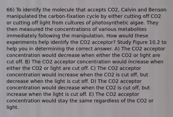 66) To identify the molecule that accepts CO2, Calvin and Benson manipulated the carbon-fixation cycle by either cutting off CO2 or cutting off light from cultures of photosynthetic algae. They then measured the concentrations of various metabolites immediately following the manipulation. How would these experiments help identify the CO2 acceptor? Study Figure 10.2 to help you in determining the correct answer. A) The CO2 acceptor concentration would decrease when either the CO2 or light are cut off. B) The CO2 acceptor concentration would increase when either the CO2 or light are cut off. C) The CO2 acceptor concentration would increase when the CO2 is cut off, but decrease when the light is cut off. D) The CO2 acceptor concentration would decrease when the CO2 is cut off, but increase when the light is cut off. E) The CO2 acceptor concentration would stay the same regardless of the CO2 or light.