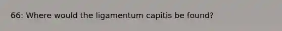 66: Where would the ligamentum capitis be found?