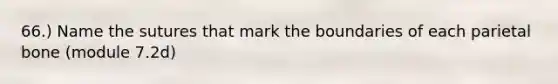 66.) Name the sutures that mark the boundaries of each parietal bone (module 7.2d)