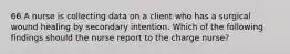 66 A nurse is collecting data on a client who has a surgical wound healing by secondary intention. Which of the following findings should the nurse report to the charge nurse?