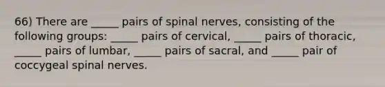 66) There are _____ pairs of spinal nerves, consisting of the following groups: _____ pairs of cervical, _____ pairs of thoracic, _____ pairs of lumbar, _____ pairs of sacral, and _____ pair of coccygeal spinal nerves.