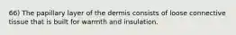 66) The papillary layer of the dermis consists of loose connective tissue that is built for warmth and insulation.