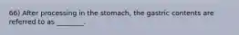 66) After processing in the stomach, the gastric contents are referred to as ________.