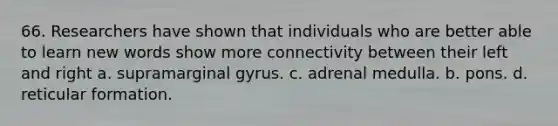 66. Researchers have shown that individuals who are better able to learn new words show more connectivity between their left and right a. supramarginal gyrus. c. adrenal medulla. b. pons. d. reticular formation.