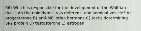 66) Which is responsible for the development of the Wolffian duct into the epididymis, vas deferens, and seminal vesicle? A) progesterone B) anti-Müllerian hormone C) testis determining SRY protein D) testosterone E) estrogen