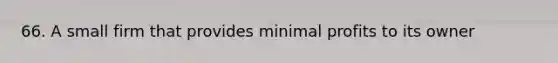 66. A small firm that provides minimal profits to its owner