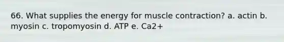 66. What supplies the energy for muscle contraction? a. actin b. myosin c. tropomyosin d. ATP e. Ca2+