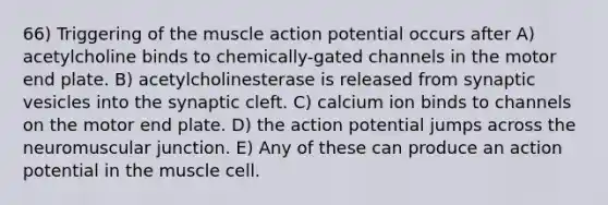 66) Triggering of the muscle action potential occurs after A) acetylcholine binds to chemically-gated channels in the motor end plate. B) acetylcholinesterase is released from synaptic vesicles into the synaptic cleft. C) calcium ion binds to channels on the motor end plate. D) the action potential jumps across the neuromuscular junction. E) Any of these can produce an action potential in the muscle cell.