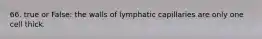 66. true or False: the walls of lymphatic capillaries are only one cell thick.