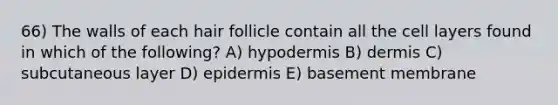 66) The walls of each hair follicle contain all the cell layers found in which of the following? A) hypodermis B) dermis C) subcutaneous layer D) epidermis E) basement membrane