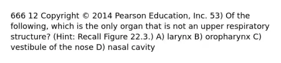 666 12 Copyright © 2014 Pearson Education, Inc. 53) Of the following, which is the only organ that is not an upper respiratory structure? (Hint: Recall Figure 22.3.) A) larynx B) oropharynx C) vestibule of the nose D) nasal cavity