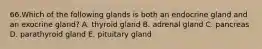 66.Which of the following glands is both an endocrine gland and an exocrine gland? A. thyroid gland B. adrenal gland C. pancreas D. parathyroid gland E. pituitary gland